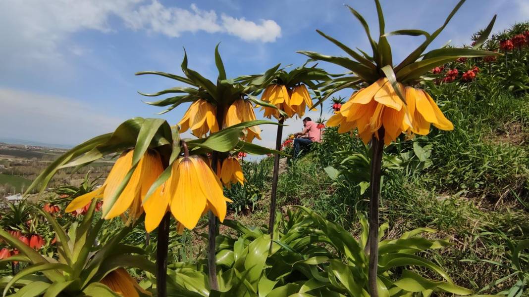 Bu insanlar neye bakıyor? Gece-gündüz nöbet tutuyorlar, ilk kez görenler şaştı kaldı! 36
